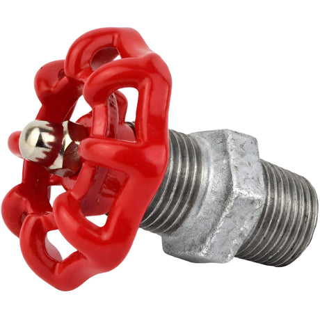 Rood handwiel 52 mm op nippel, 1/2'' met roestvrijstalen moer, fitting van gegalvaniseerd gietijzer